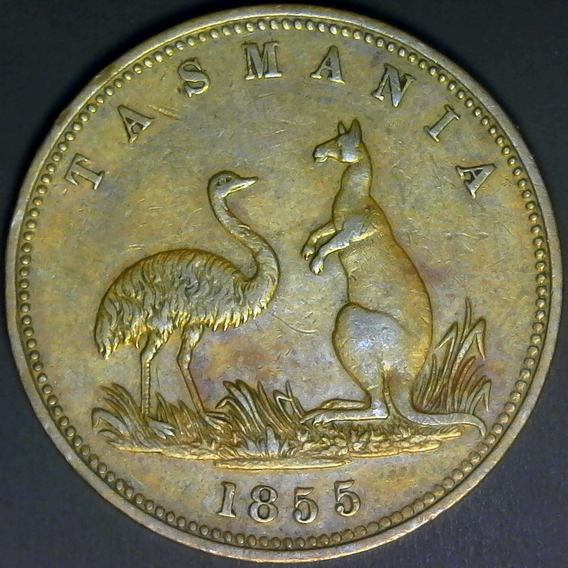Tasmania Penny 1955 obv.jpg
