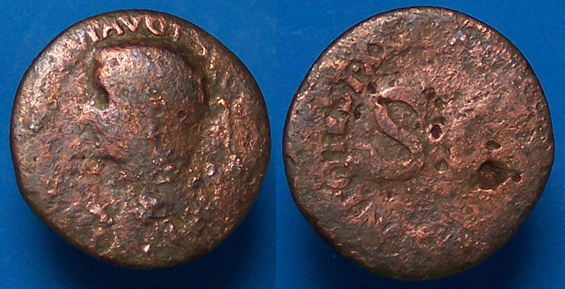 tb2971.JPG