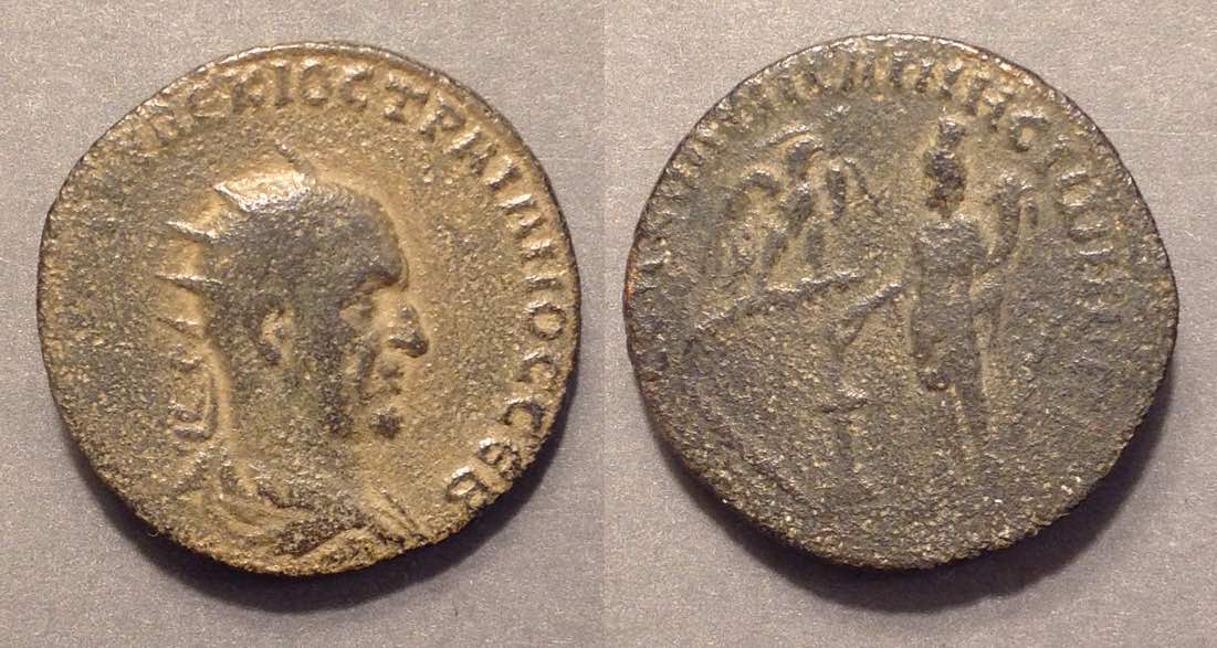 TDRhesaena12100.jpg