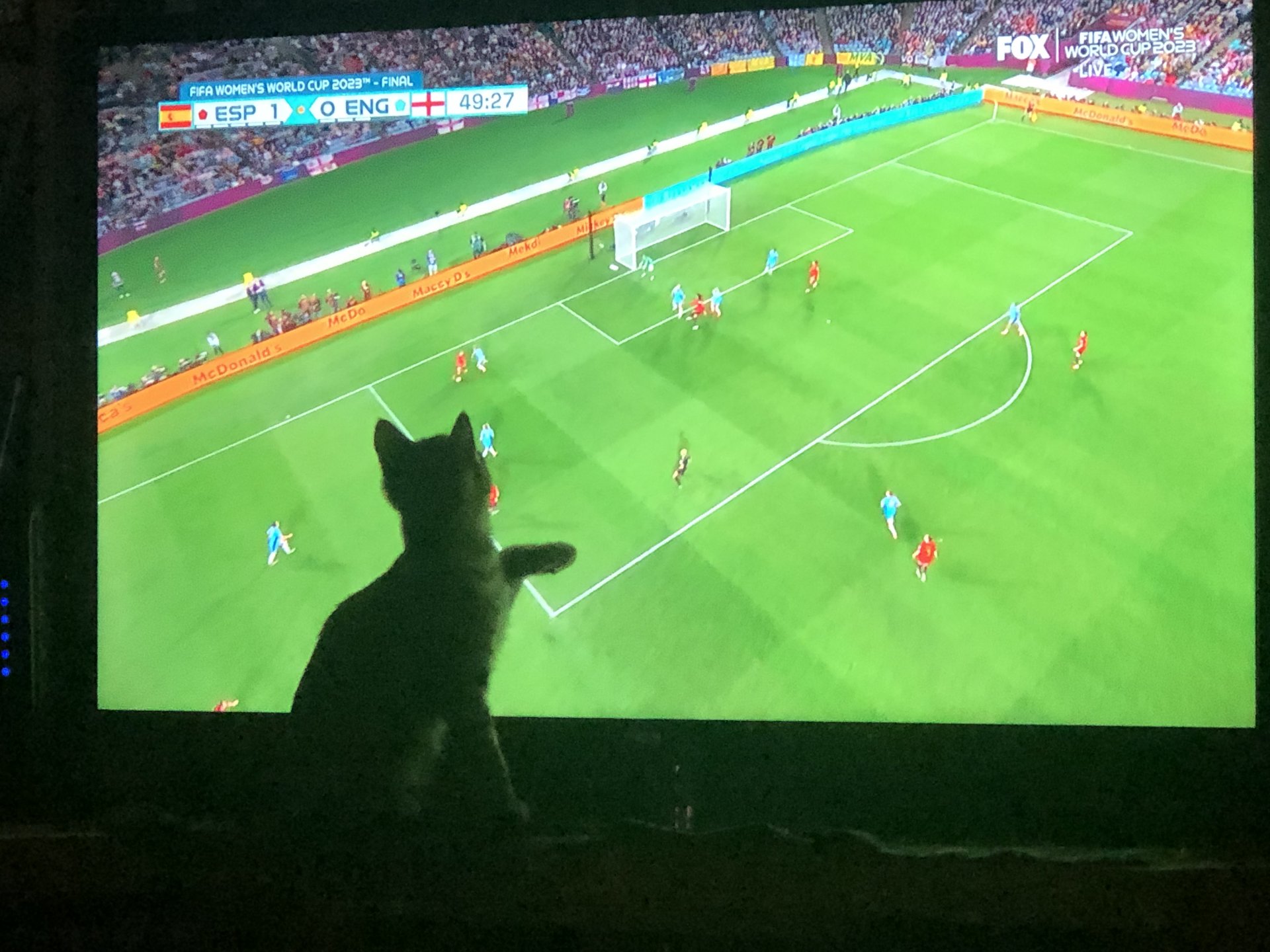 tdsoccer.jpg