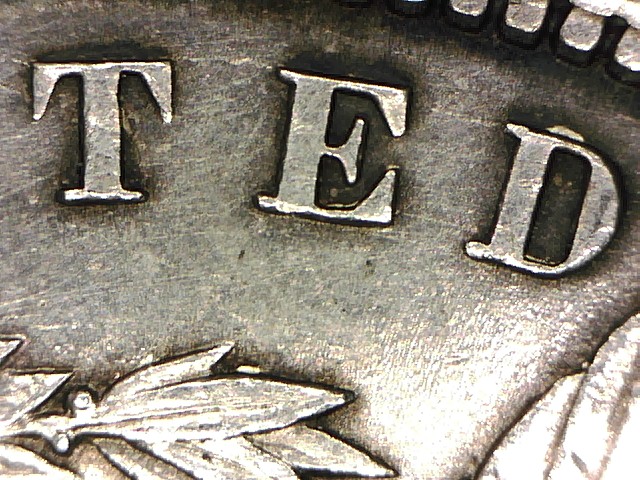 ted (united) doubling and inside leaves nightempler (2).jpg