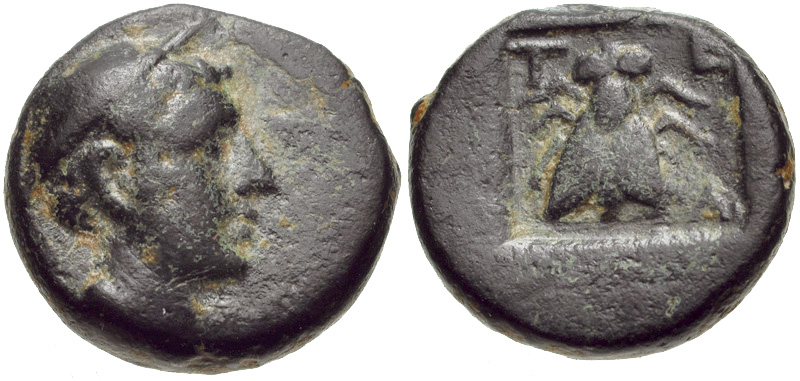 telmessos fly.jpg