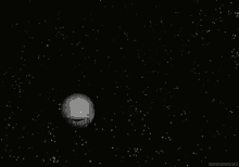 tenor-2.gif