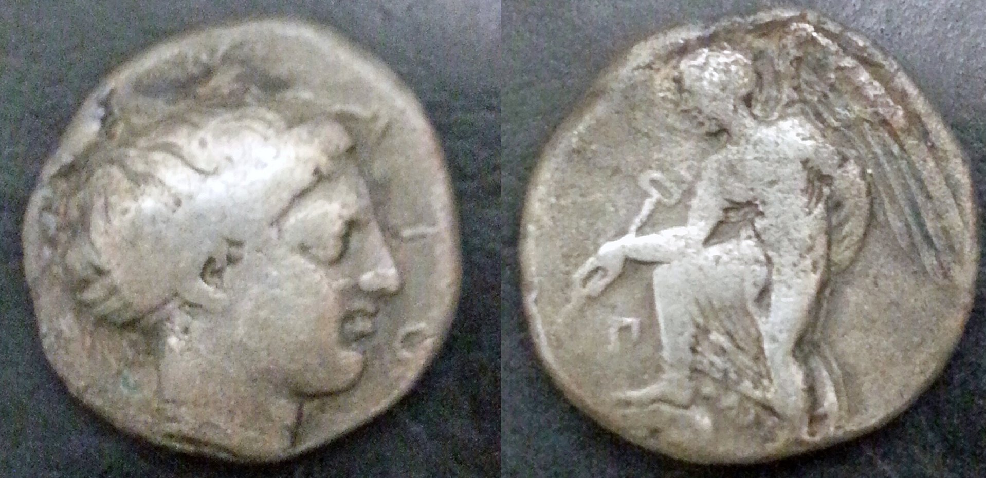 terina stater 1.jpg