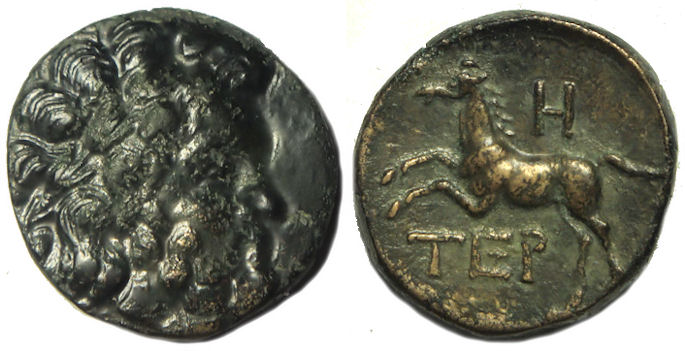 Termessos Major Zeus Horse.jpg