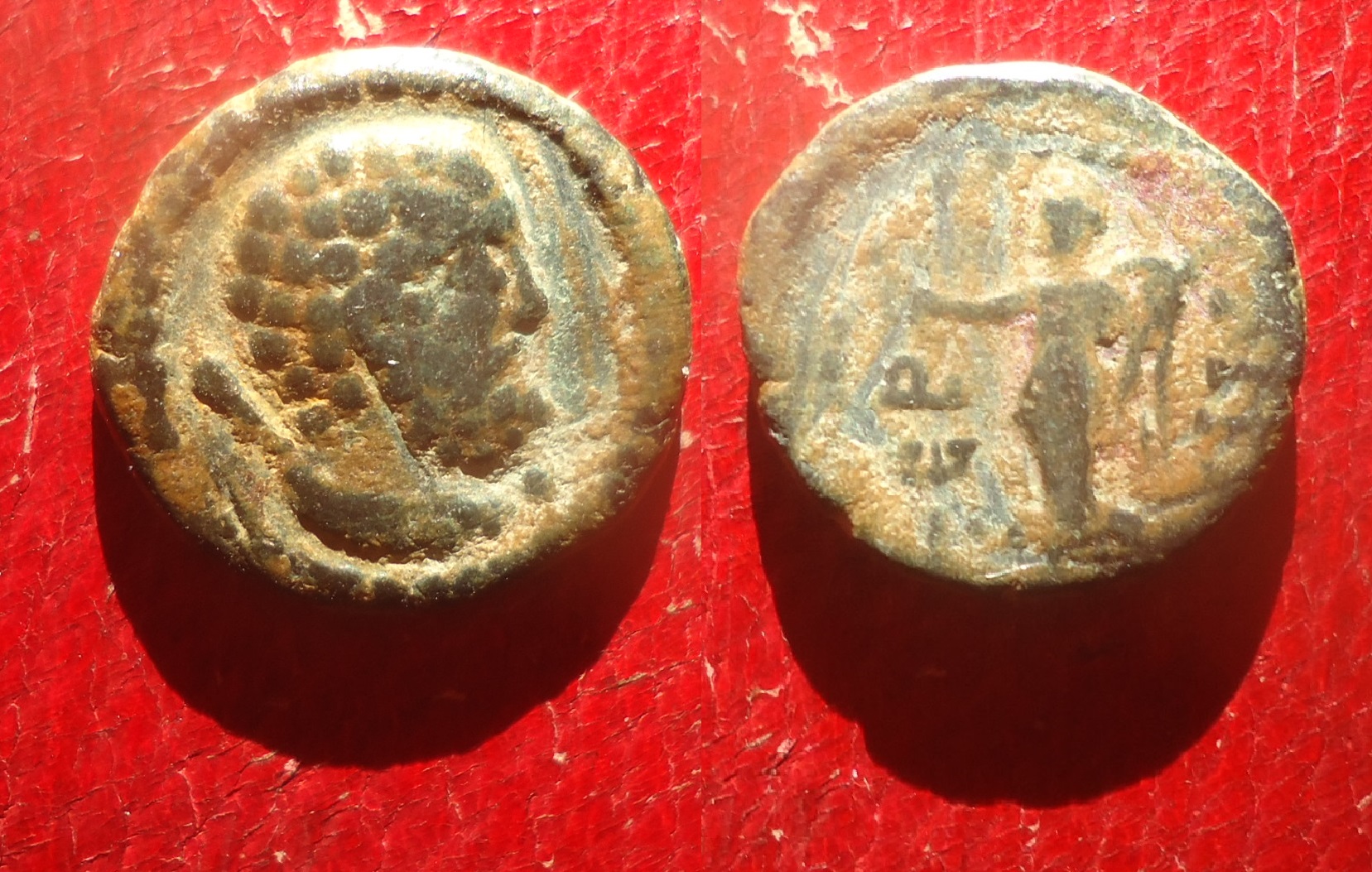 Termessus Maj. - Herakles Dec 2022 (0).jpg