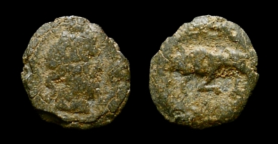 tessera zeus 400.jpg