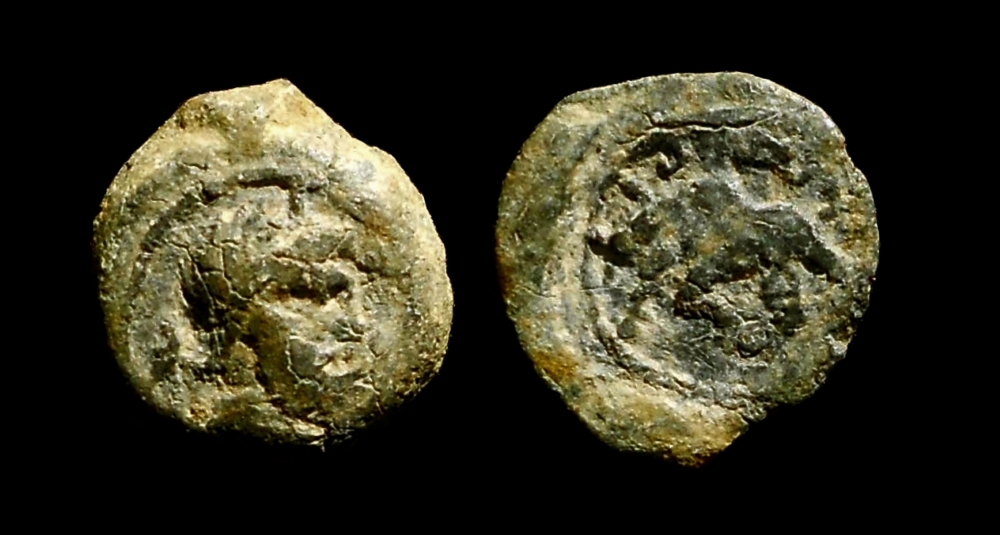 tessera1000.jpg