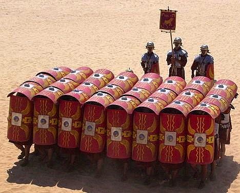 testudo.jpg