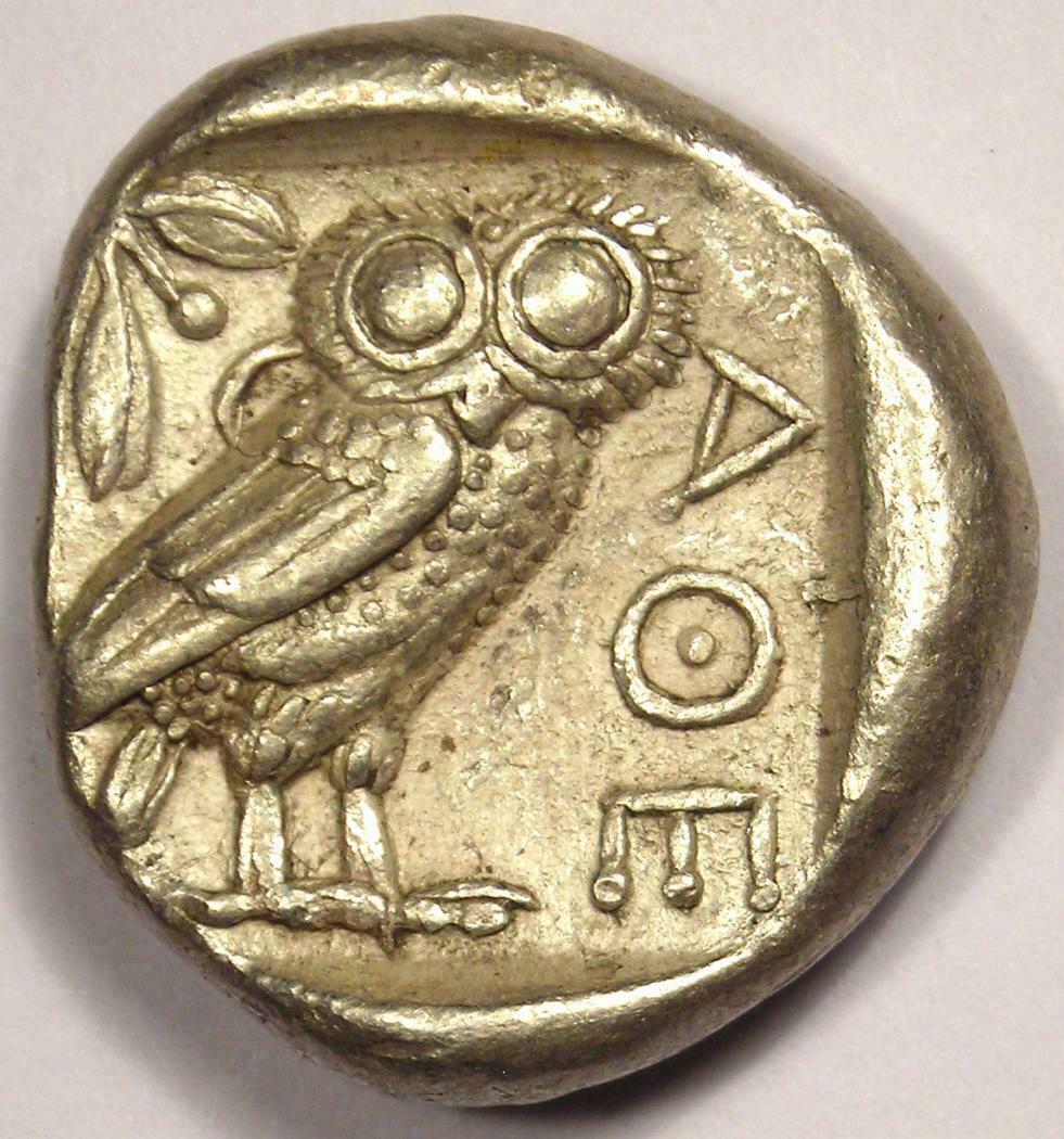 TET owl.jpg