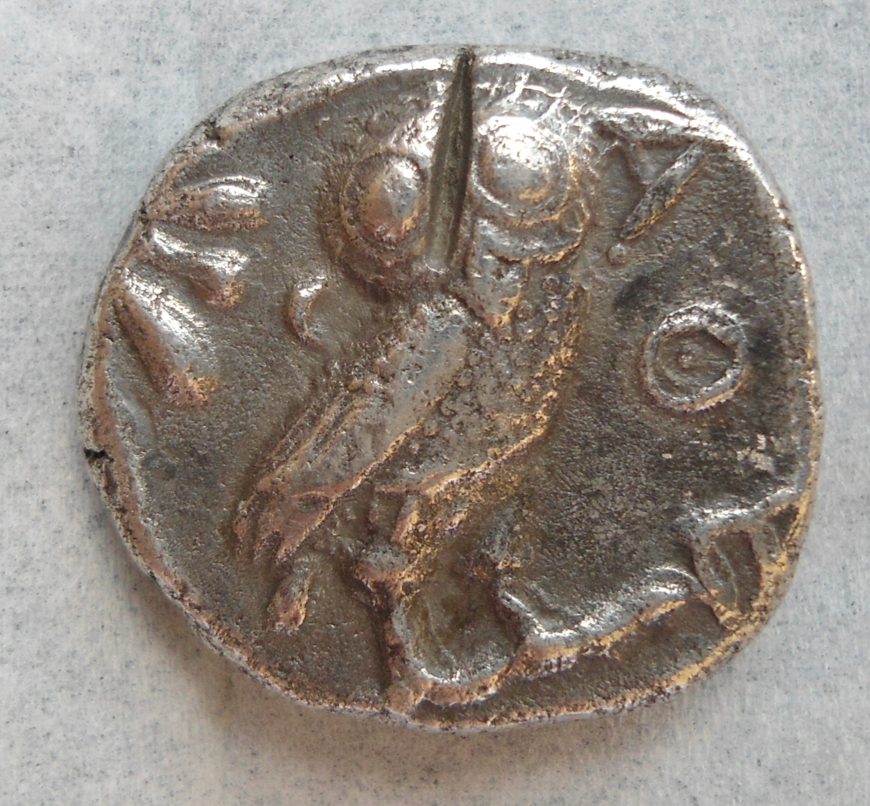 TetOwly R      430 BC.JPG