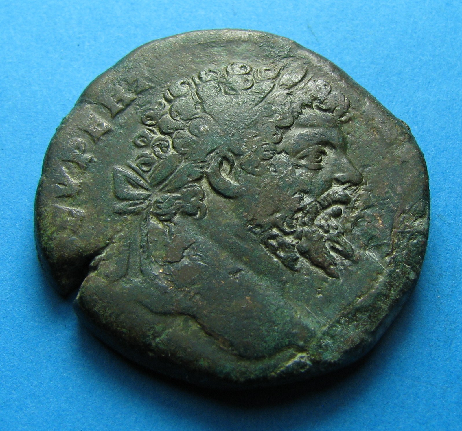 tetricus 171.JPG