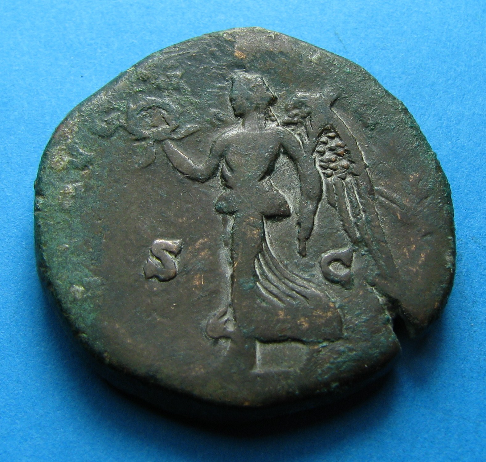 tetricus 172.JPG