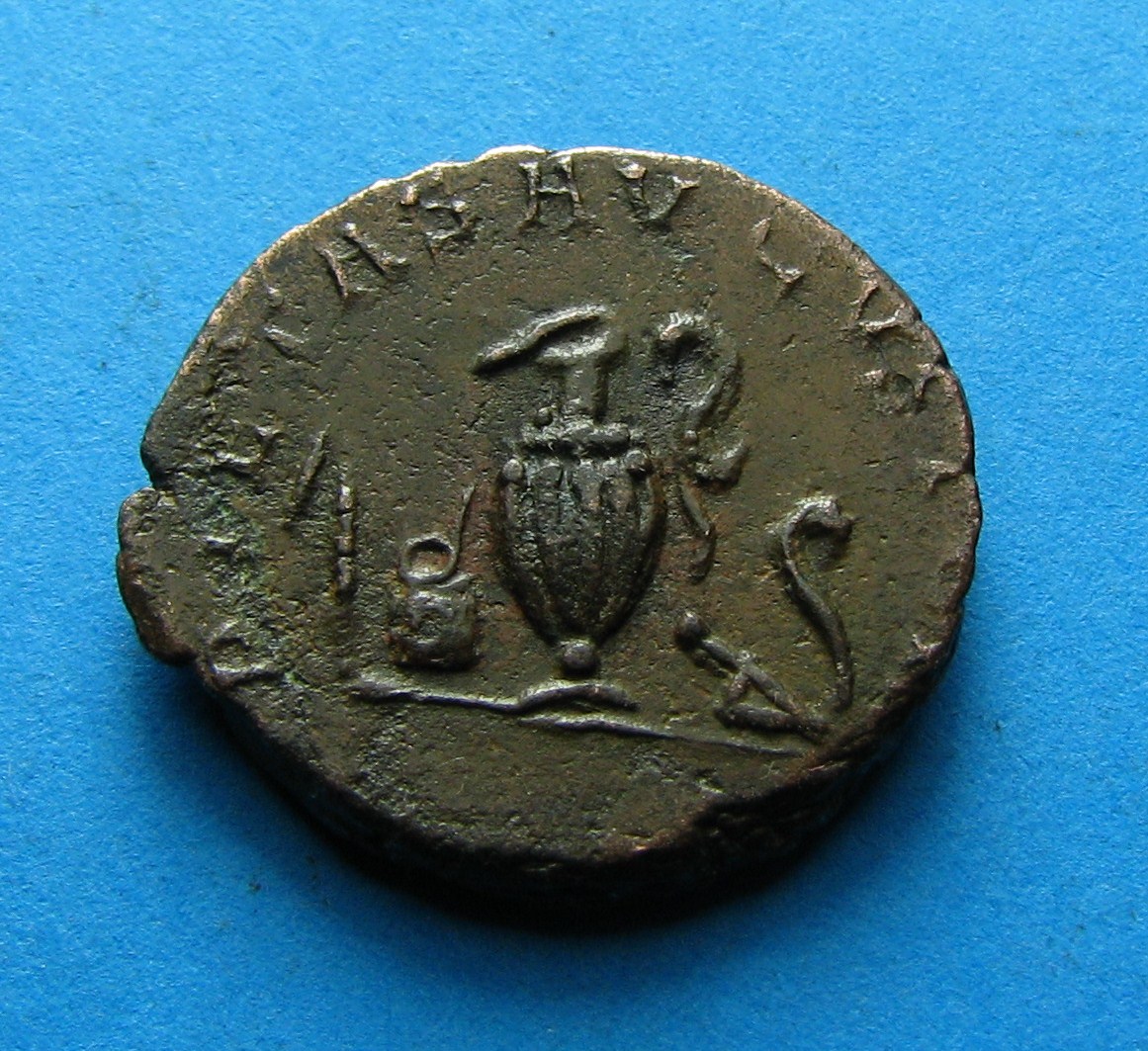 tetricus 209.JPG