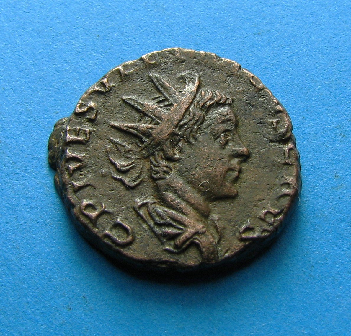 tetricus 210.JPG