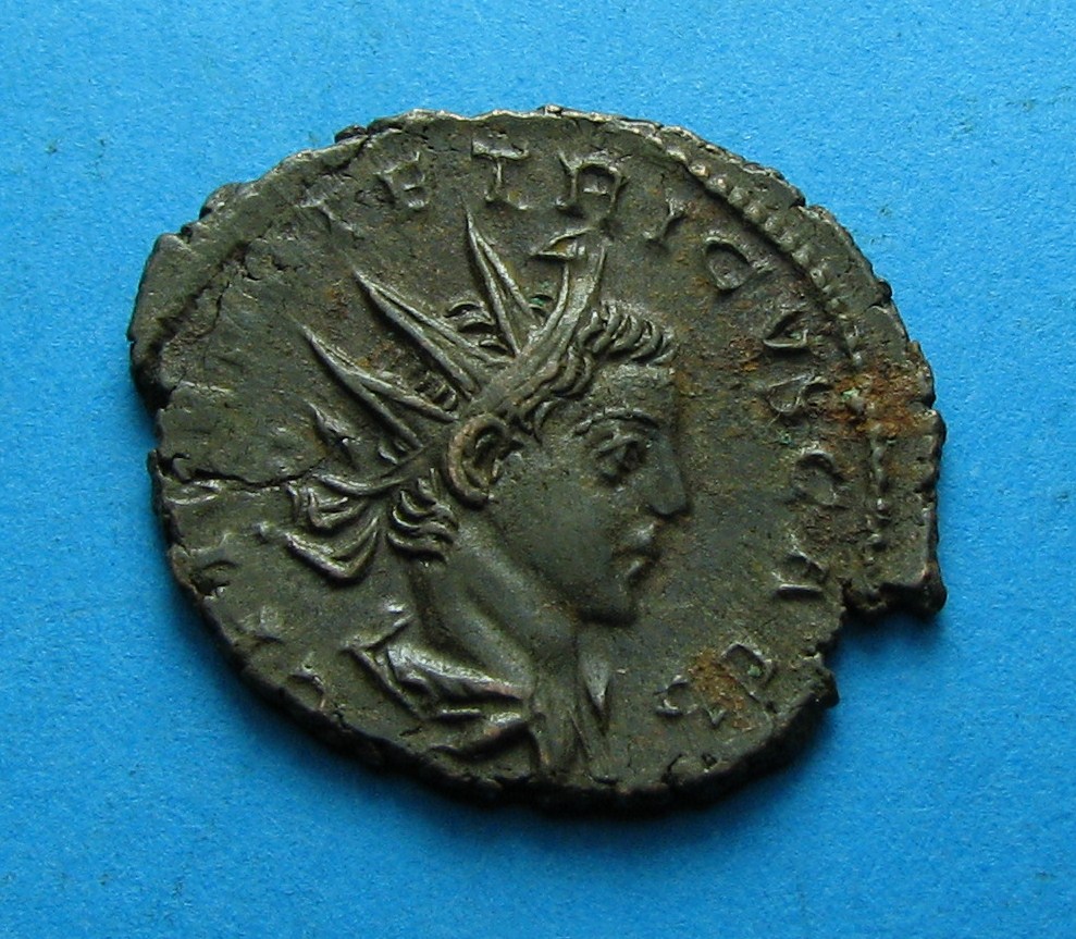 tetricus 245.JPG