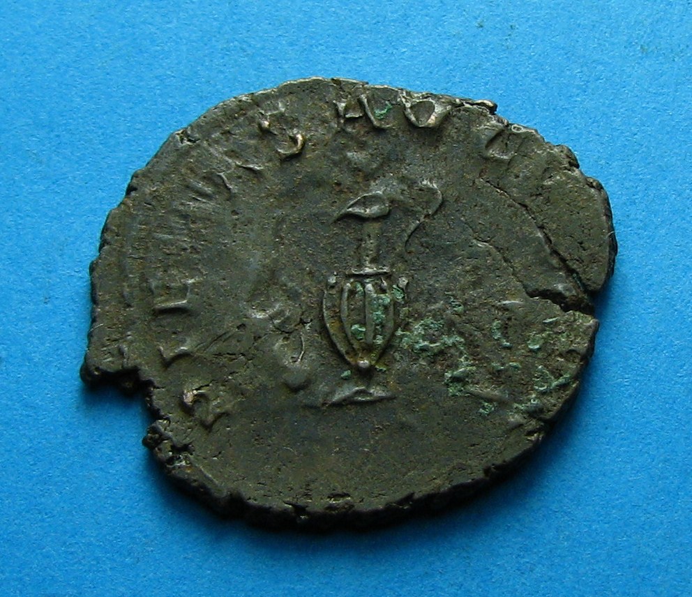 tetricus 246.JPG