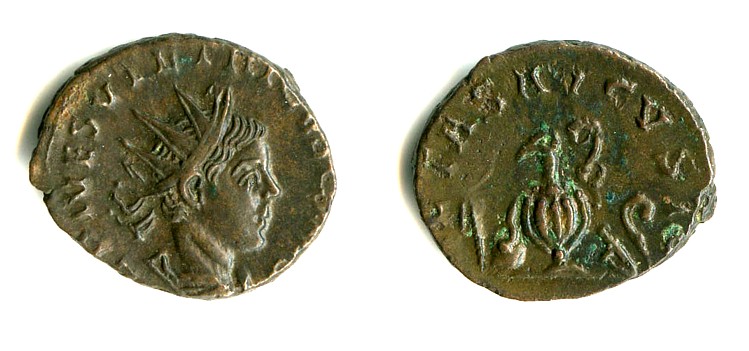 Tetricus II 3.jpg