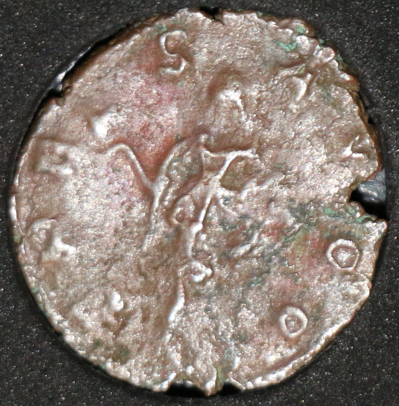 Tetricus II IMG_3117.JPG