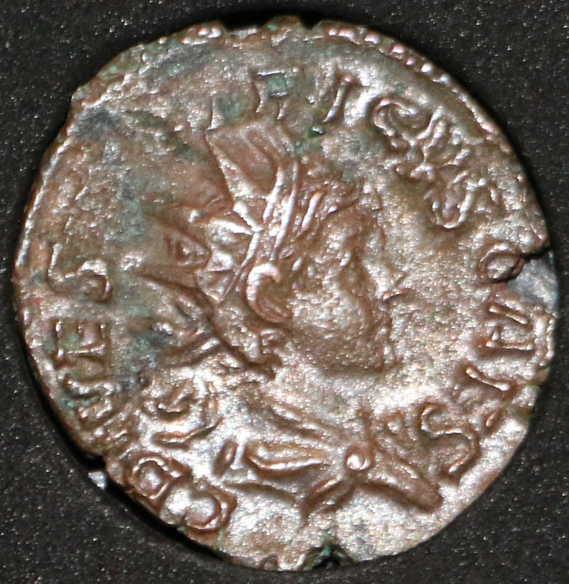 Tetricus II IMG_3130.JPG