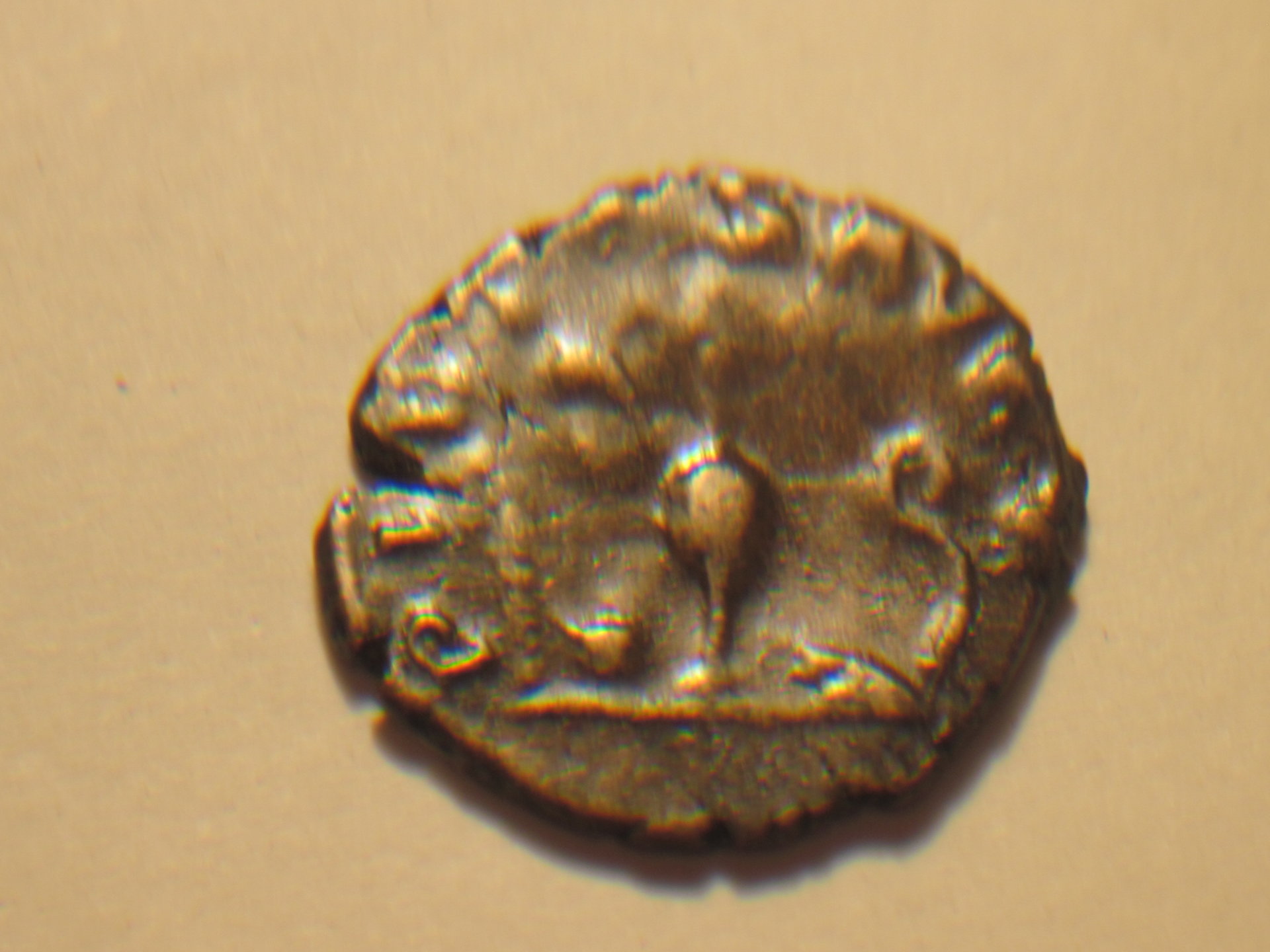 Tetricus ll 002.JPG