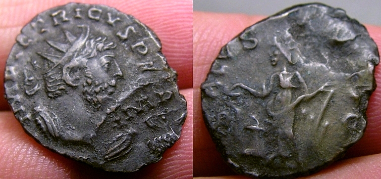 tetricussalus.jpg