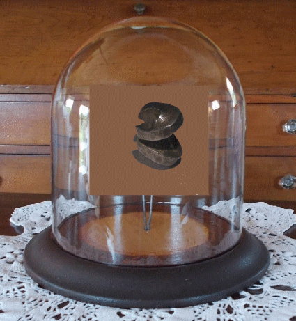 Thai 4 Bhat in Bell Jar LR20.gif