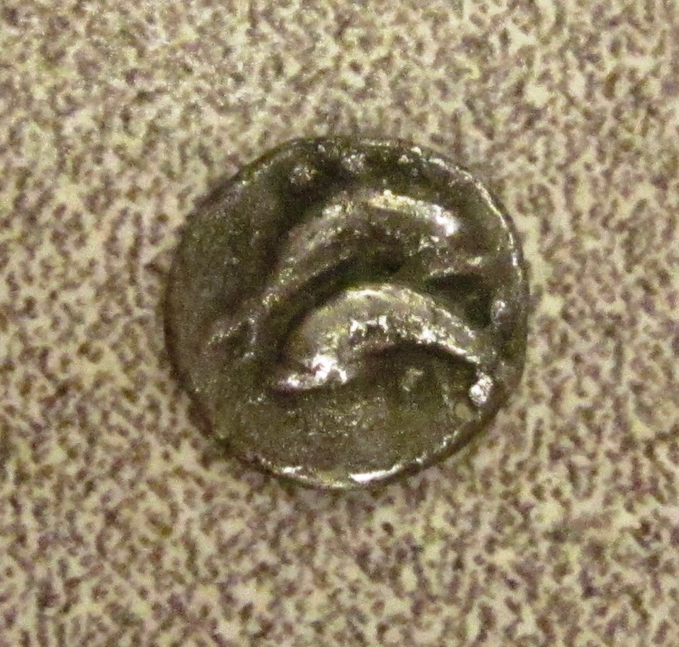 Thasos Dolphin Coin Obv.jpg
