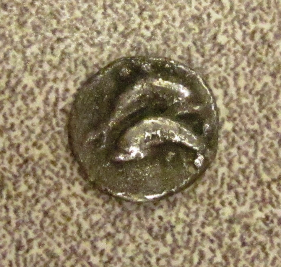 Thasos Dolphin Coin Obv.jpg