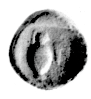 The coinage of Proconnesus_planche detail1.png