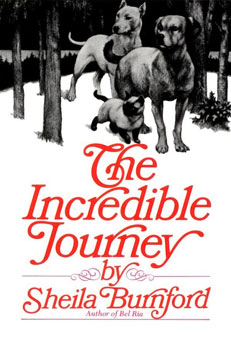 The Incredible Journey.jpg
