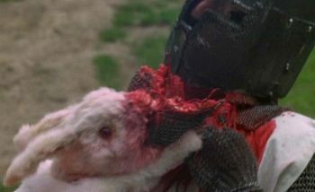 the killer rabbit.jpg