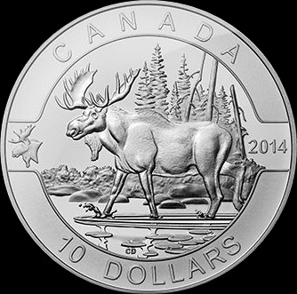 the moose 2014.jpg