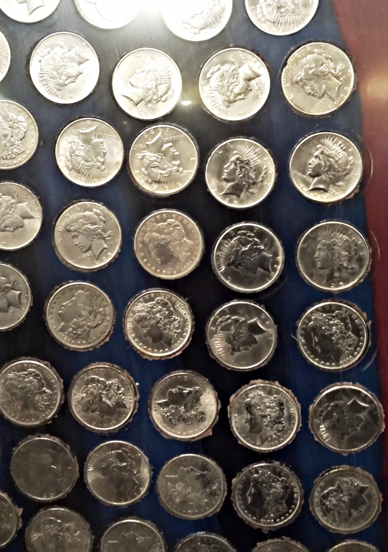 the silver queen close-up.jpg