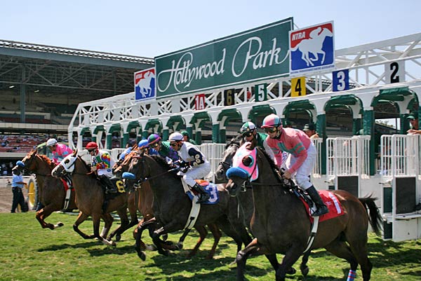 the starting gate.jpg