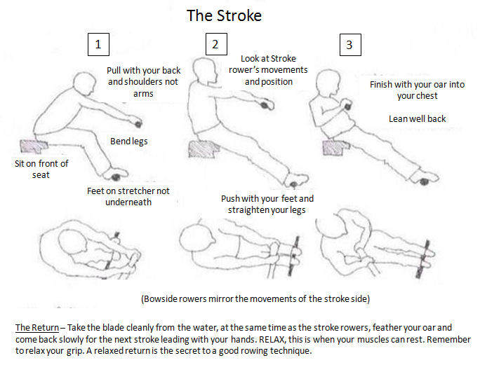 The-Stroke-1.jpg