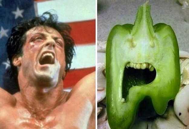 These-Things-Are-Hilariously-Similar-To-Each-Other-008.jpg