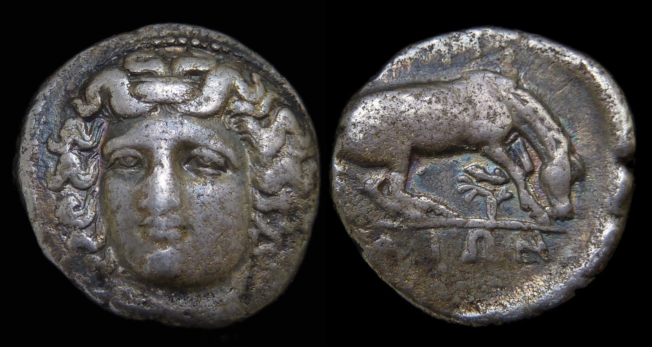 THESSALY Larissa - AR Drachm Horse Plant 3727.jpg