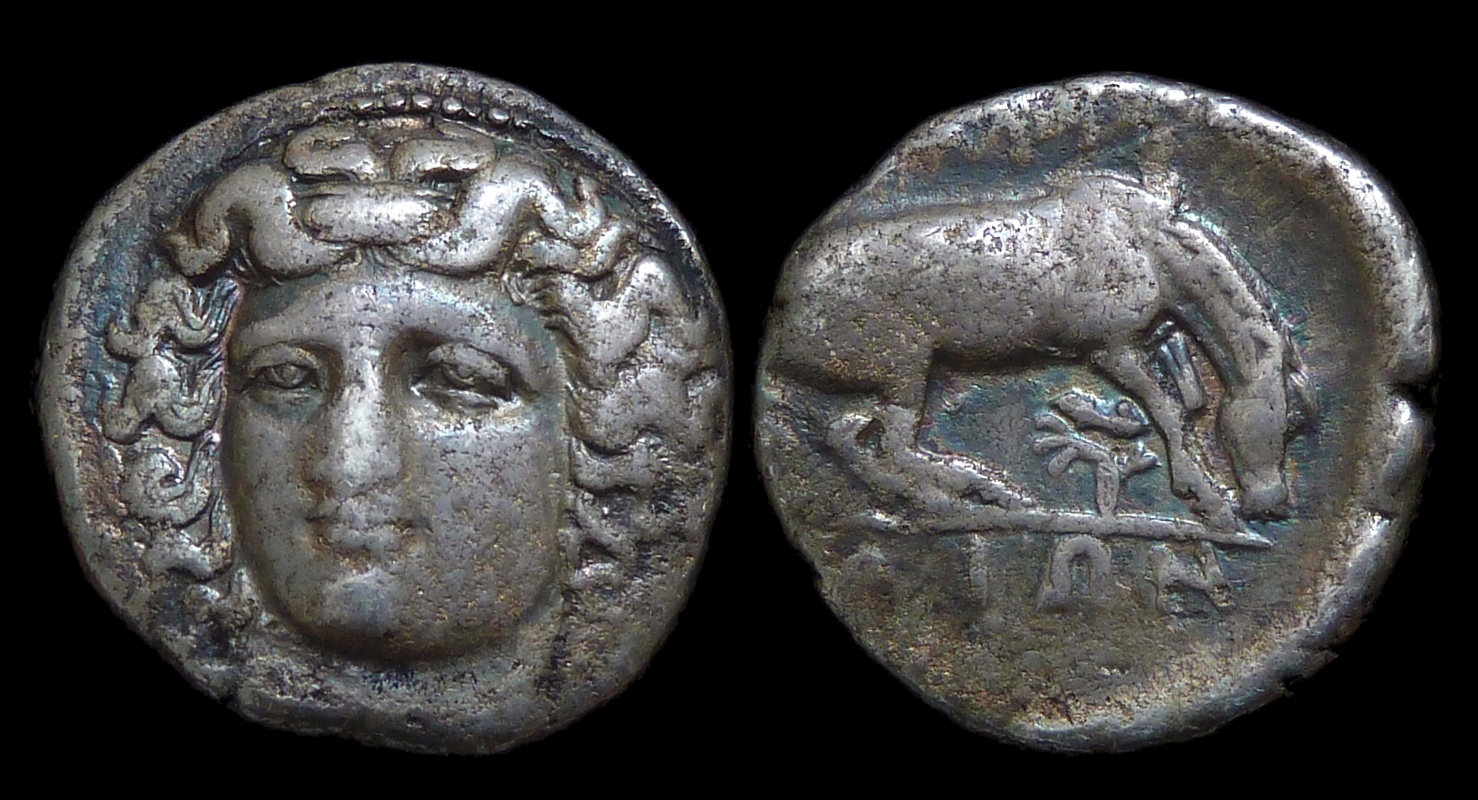 THESSALY Larissa - AR Drachm Horse Plant 3727 new.jpg