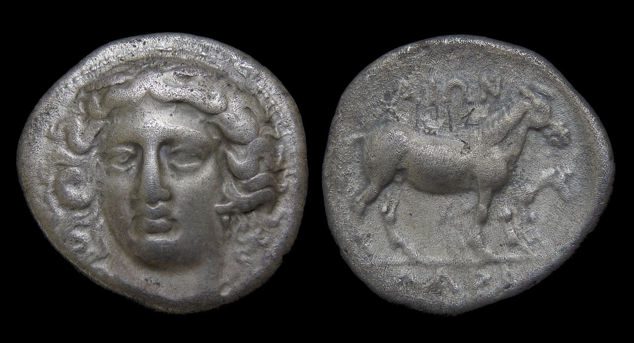 Thessaly Larissa - Drachm Horse Foal 2537.jpg