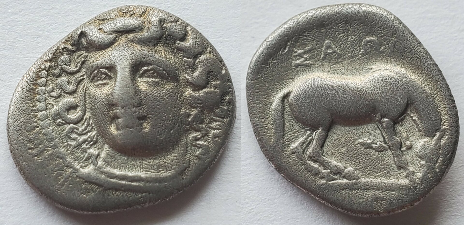 Thessaly Larissa hemidrachm.jpg