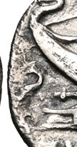 Thessaly Magnetes dolphin closeup.jpg