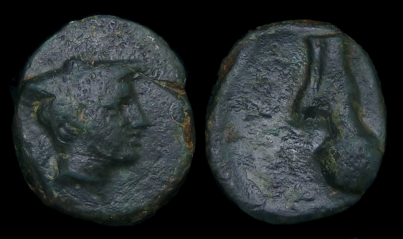 THESSALY Pherai - Alexander Hoof 3709.jpg