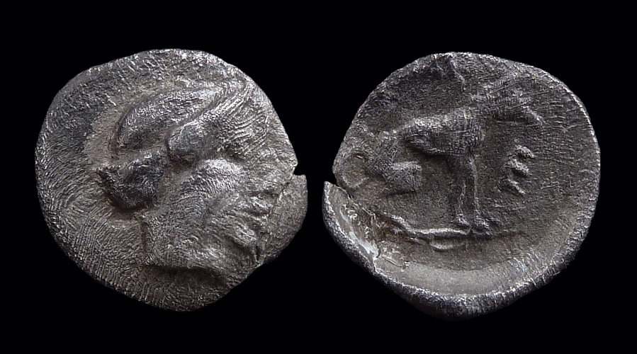 Thessaly Pherai - Hemiobol Dog.jpg