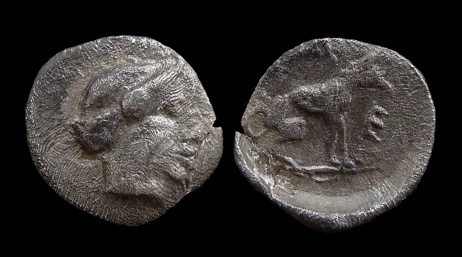 Thessaly Pherai - Hemiobol Dog.jpg