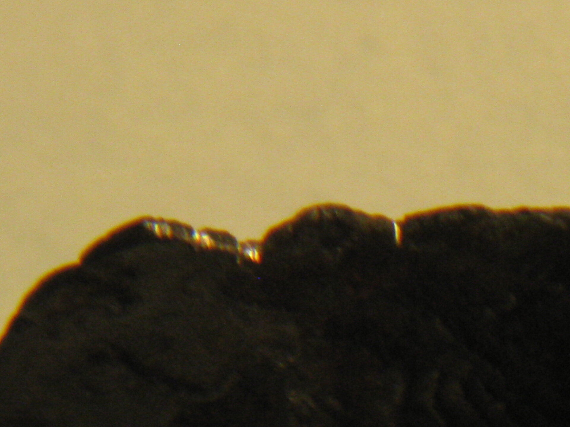 this lil fella is SILVER! 004.JPG