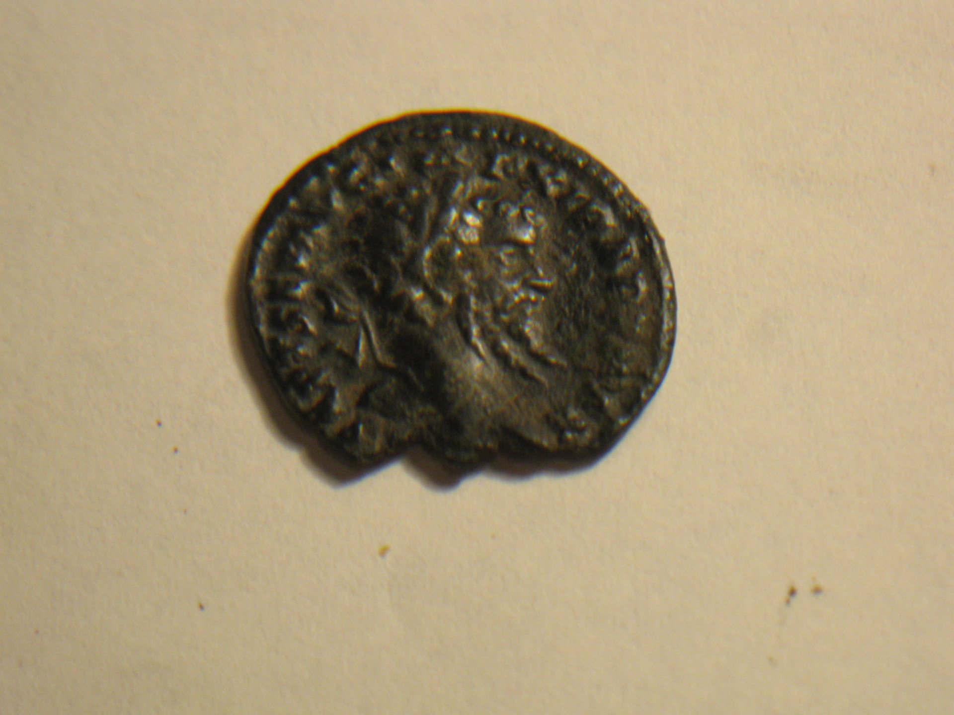 this lil fella is SILVER! 005.JPG