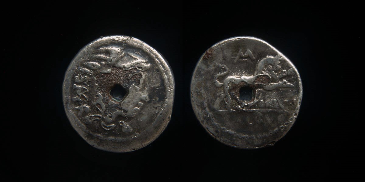 Thorius Balbus fouree.jpg