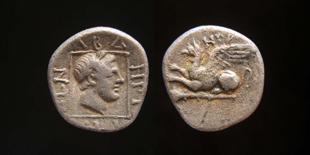 Thrace, Abdera  Apollo Griffin.JPG