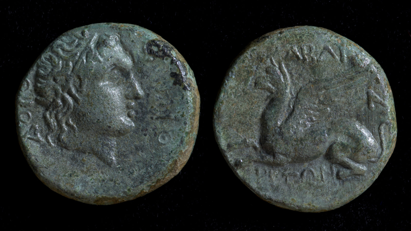 Thrace Abdera Griffin.jpg